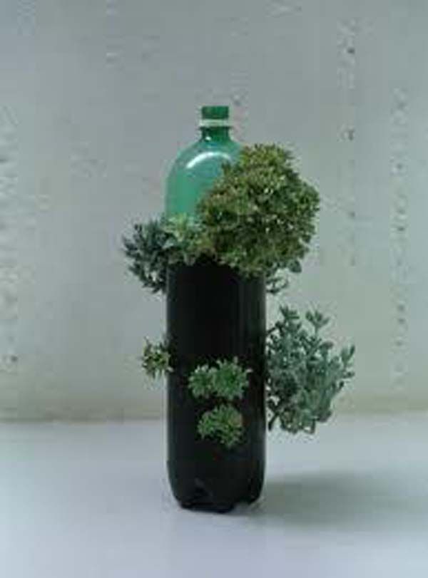 reciclado de botellas de plastico - jarrones y macetas 9